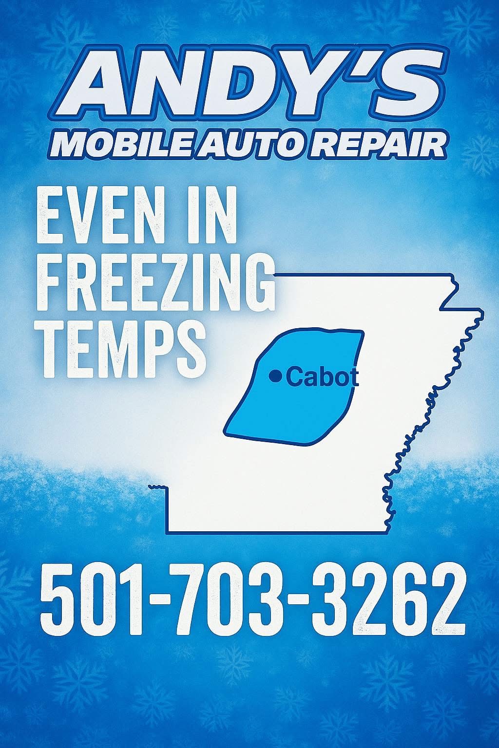 Andy's winter service-area promotion